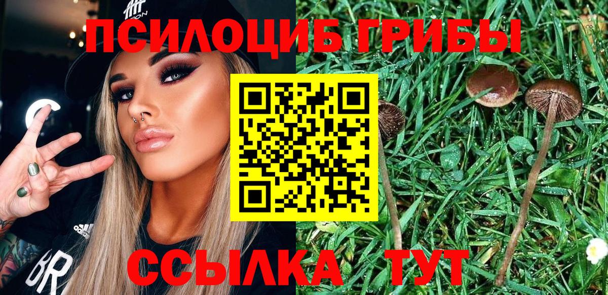 Котельники  Галлюциногенные грибы Psilocybe  Вход с VPN 
